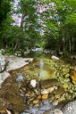 20160608 170504 3697 CORSE PAYSAGE