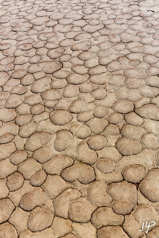 20130412_104839_3552_NAMIBIE.jpg